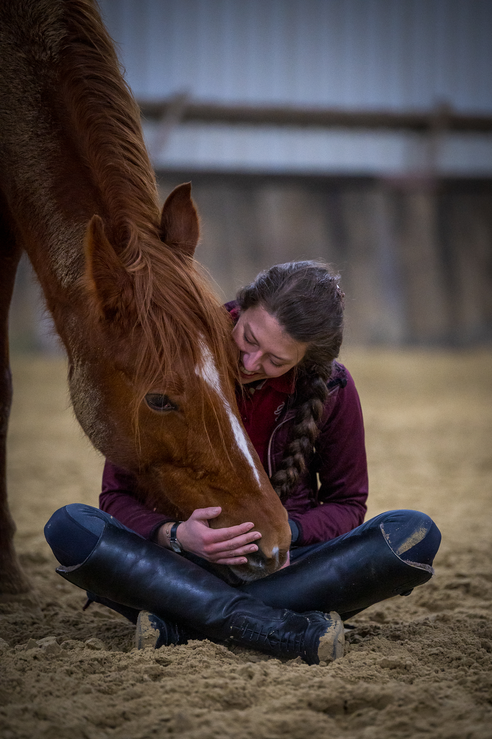 Mensch sitzt auf dem Boden Pferd senkt vertrauensvoll den Kopf zum Menschen.