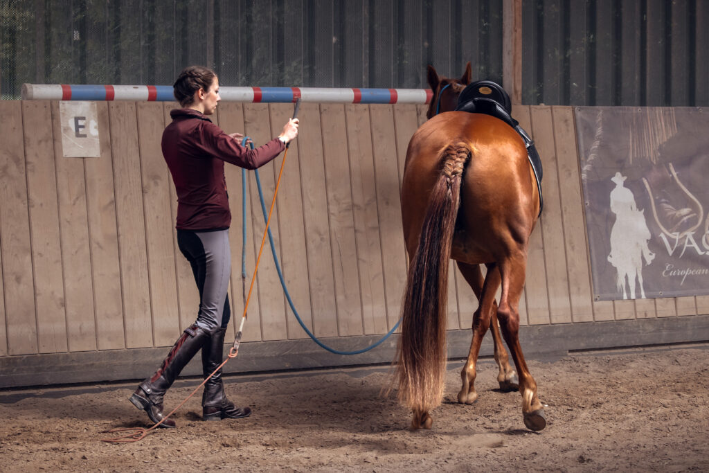 Pferd geht am losen Seil auf feine Körpersprache seitwärts. Etablieren feiner Hilfen in Pferdeausbildung und Beritt.