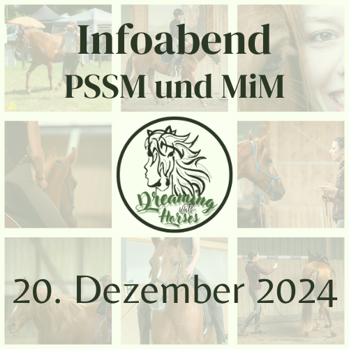 Kollage mit Bildern von zufriedenen Pferden geritten und in der Boden und Freiarbeit. Aufschrift "Infoabend PSSM und MiM" am 20. Dezember 2024